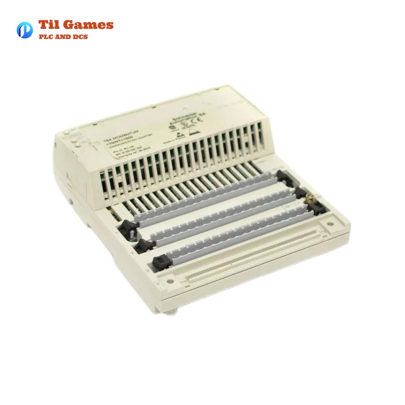 Schneider 170AAI14000 Distributed Analog Input Base