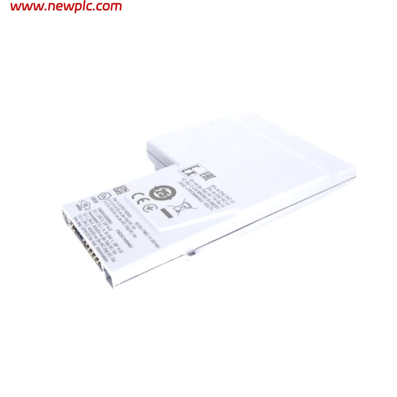 Emerson KL3106X1-BA1 I.S. RTD / Resistance input CHARM