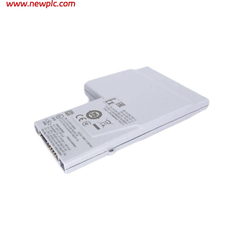 Emerson KL3106X1-LS1 LS I.S. RTD / Resistance input CHARM