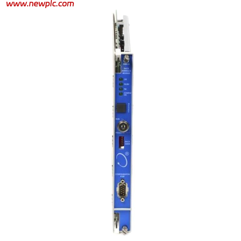 Bently Nevada 3500/20 125744-02+135031-01 3500 System Rack Interface Module