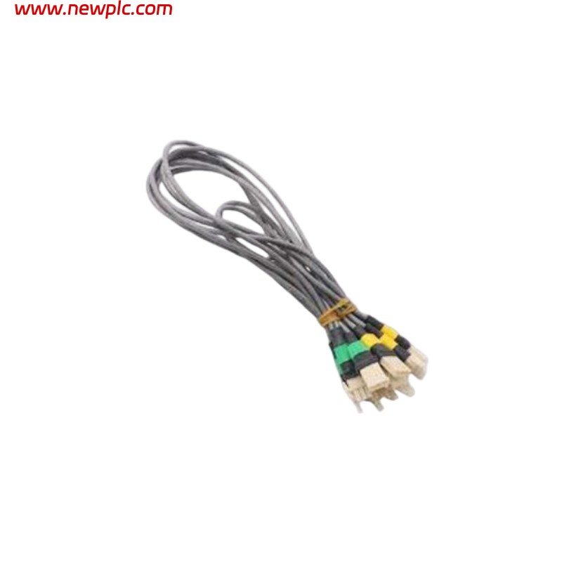Honeywell 51202971-202 Cable