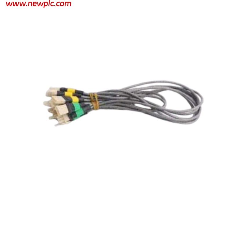 Honeywell 51202971-202 Cable