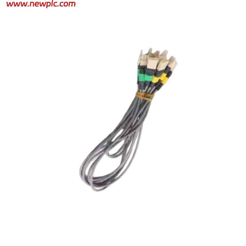 Honeywell 51202971-202 Cable