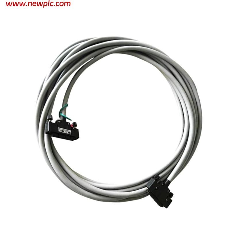 Yokogawa KS1-10 Signal Cable