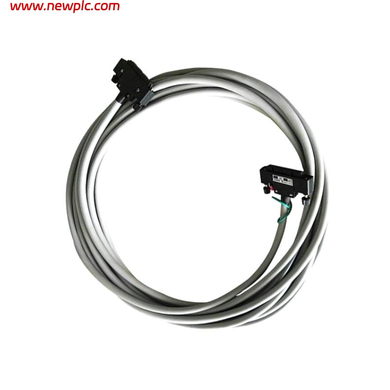 Yokogawa KS1-10 Signal Cable