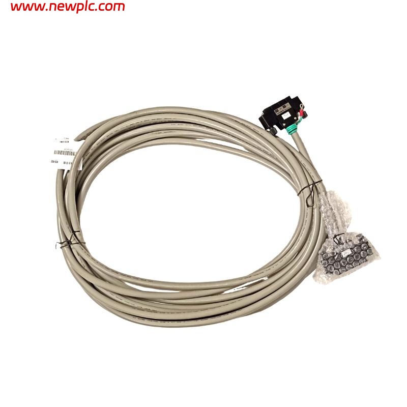 Yokogawa KS1-10 Signal Cable