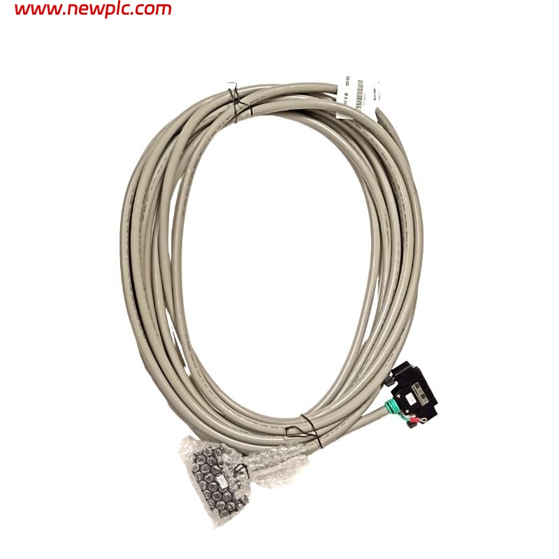 Yokogawa KS1-10 Signal Cable