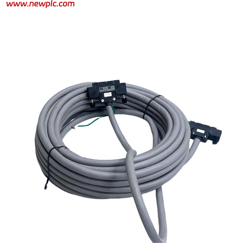 Yokogawa KS1-20 Signal Cable