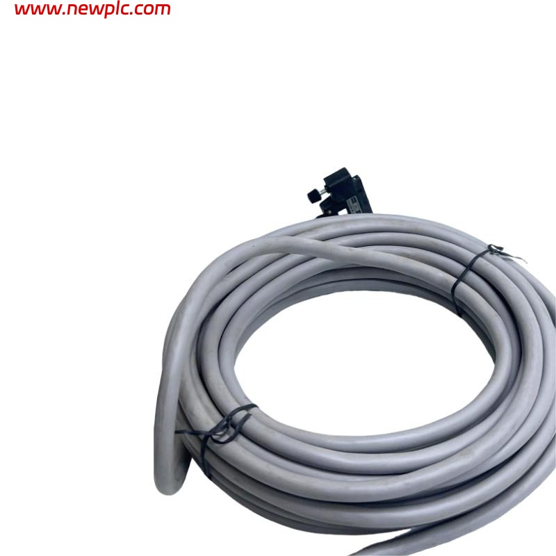 Yokogawa KS1-20 Signal Cable