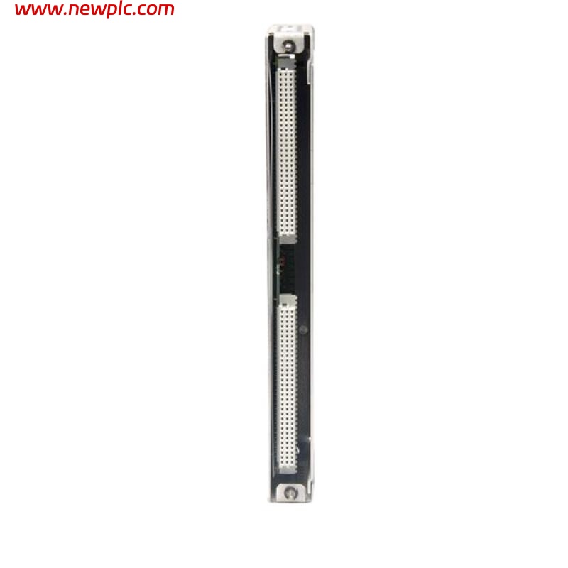 Bently Nevada 3500/61-01-00 133819-02 RTD/TC Non-Isolated Input/Output Module Internal Terminals