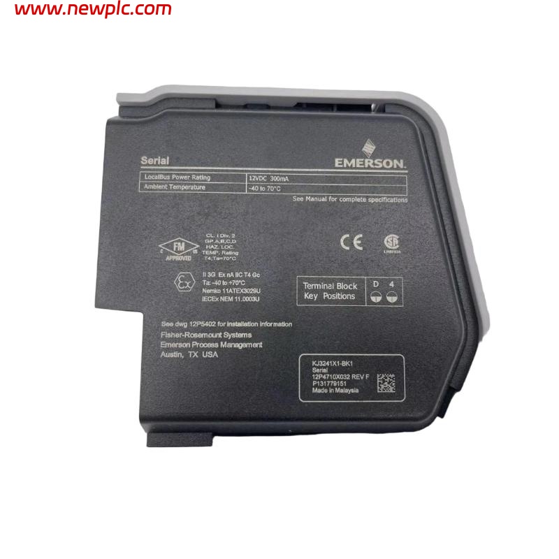 Emerson SE4005S2B4 Analog Output Card