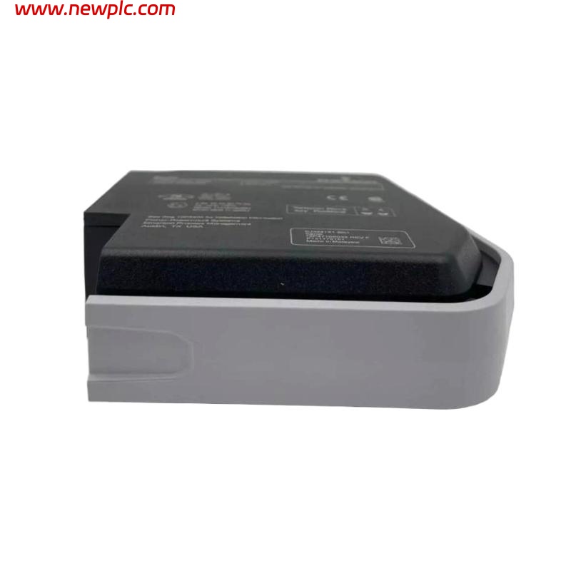 Emerson SE4005S2B4 Analog Output Card