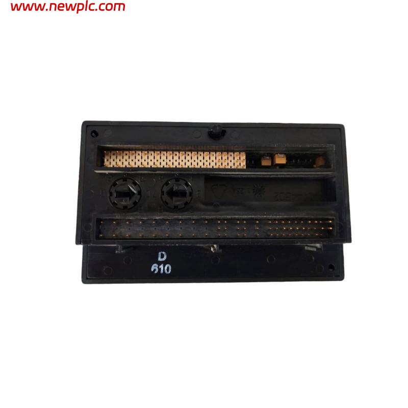GE IC200ALG240 Analog Input Module