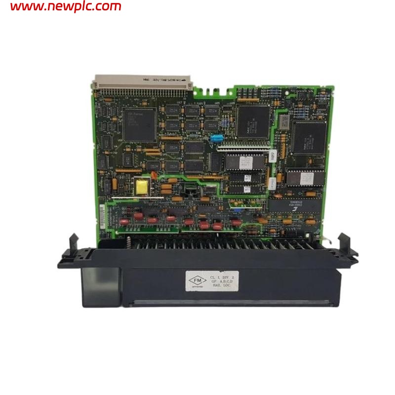 GE Fanuc IC697ALG230 Analog Input Basic Converter Module