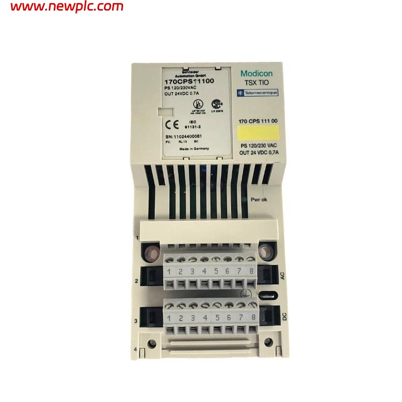 Schneider 170CPS11100 M1 Processor Adapter Power Supply