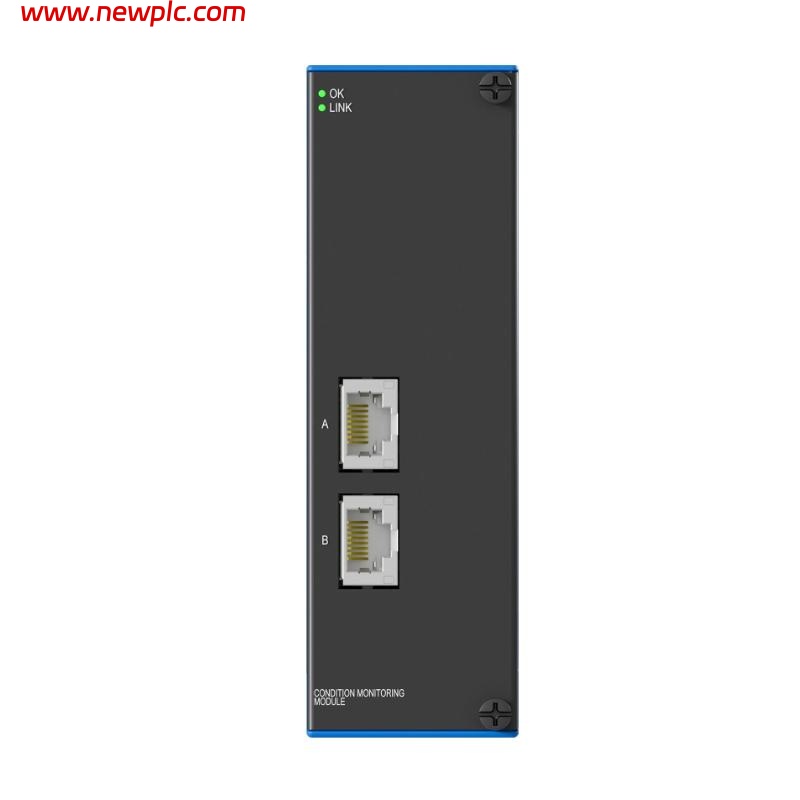 Bently Nevada 60R/CMM01-00 Condition Monitoring Module