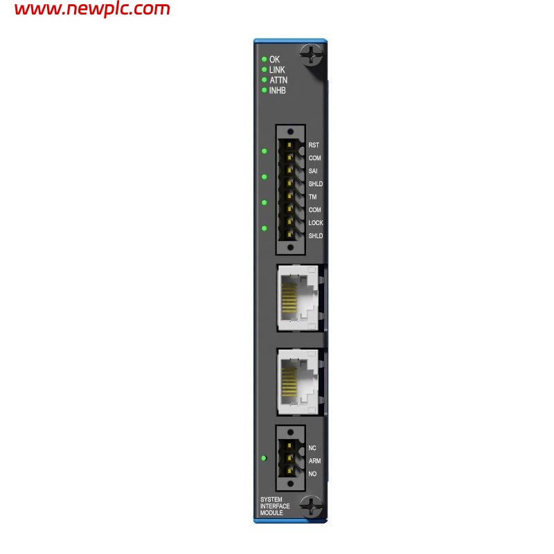 Bently Nevada 60R/PIM01-00-0 3U Power Input Module