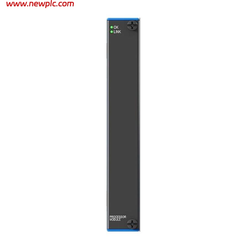 Bently Nevada 60R/PPM01-00-0 Protection Processing Module