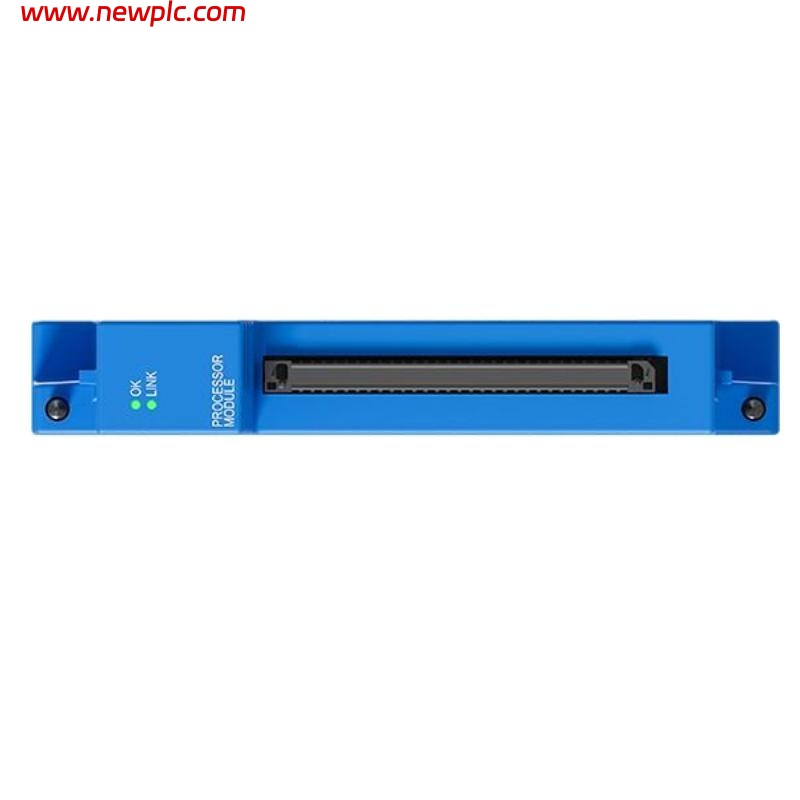 Bently Nevada 60R/PPM01-00-0 Protection Processing Module