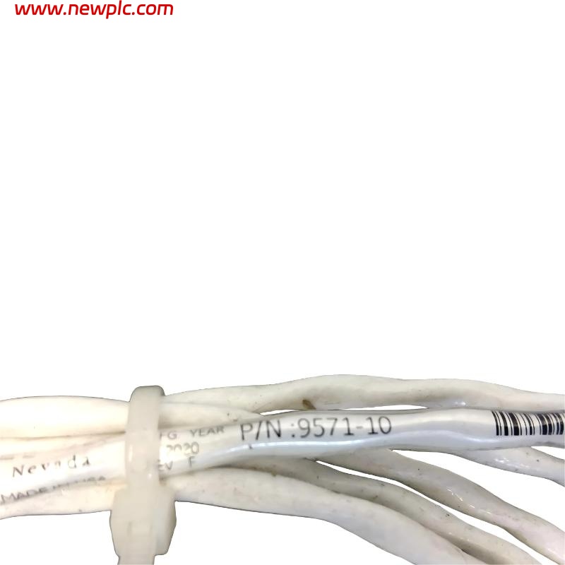 Bently Nevada 9571-10 Standard Interconnect Cable