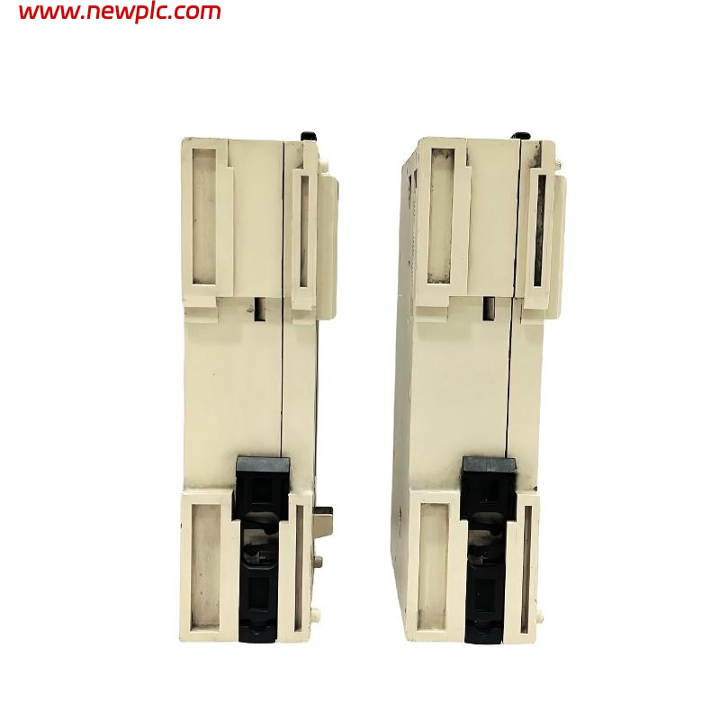 Schneider TM2AMI2LT Analog Input Module