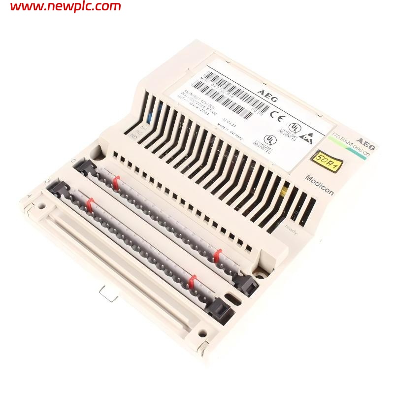 Schneider 170BAM09600 Analog I/O Module