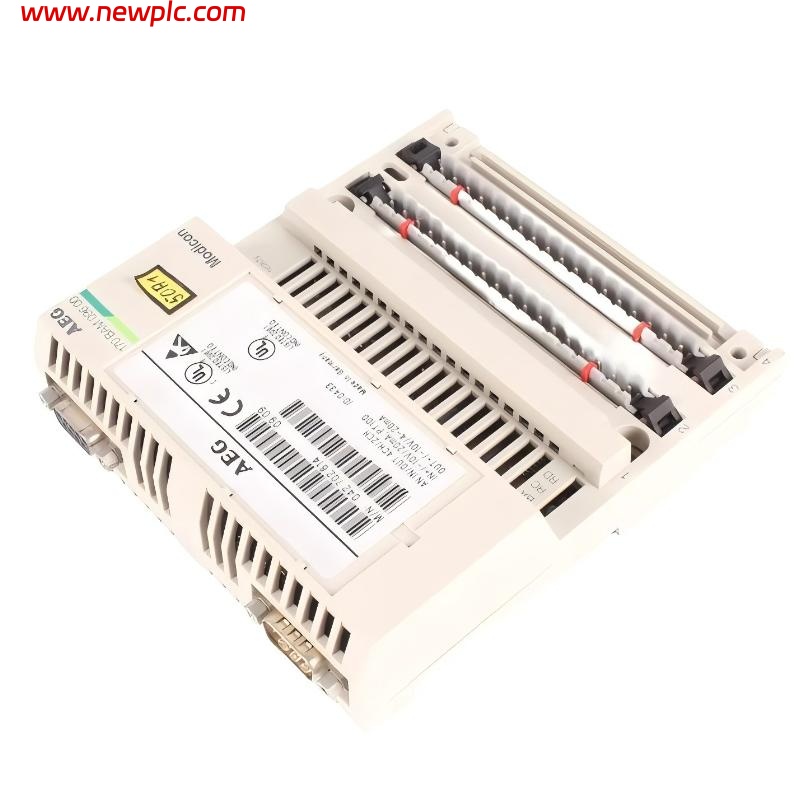 Schneider 170BAM09600 Analog I/O Module