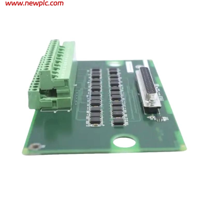 GE Fanuc IS200SRTDH2A Compact RTD Terminal Block