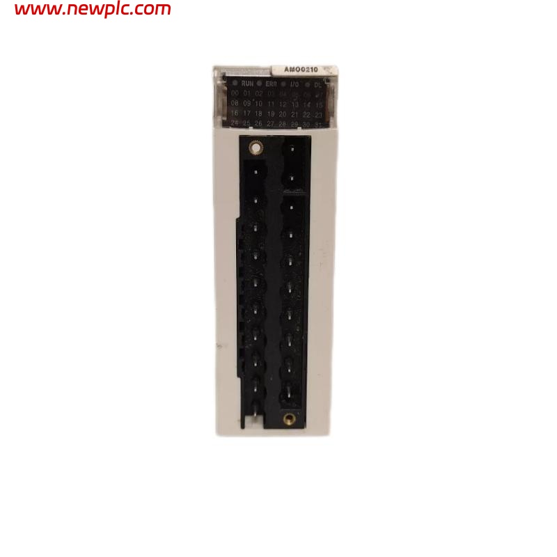 Schneider BMXAM00210 Analog Input Module