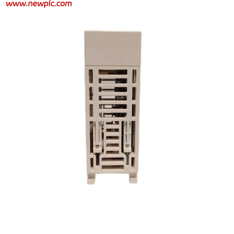 Schneider BMXAM00210 Analog Input Module