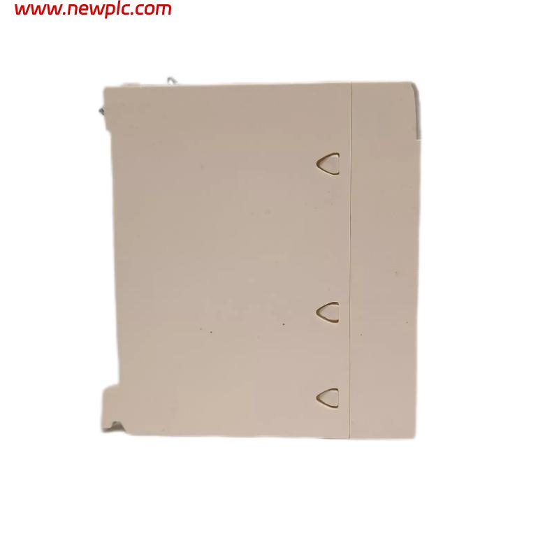 Schneider BMXAM00210 Analog Input Module