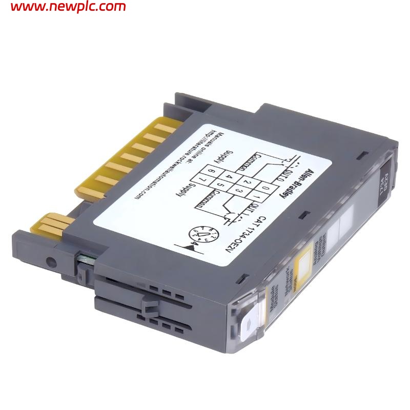 Allen Bradley 1734-OE2V POINT I/O Analog Voltage Output Module