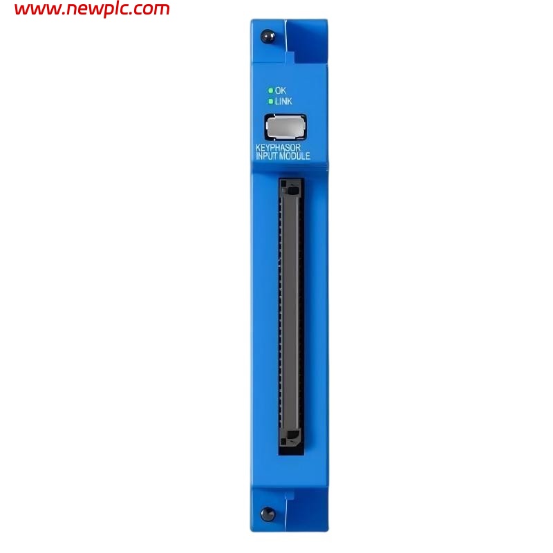 Bently Nevada 60R/INP06 Input Module