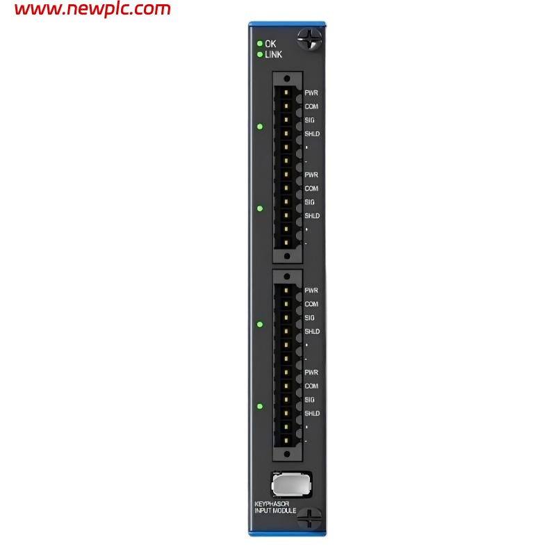 Bently Nevada 60R/INP06 Input Module