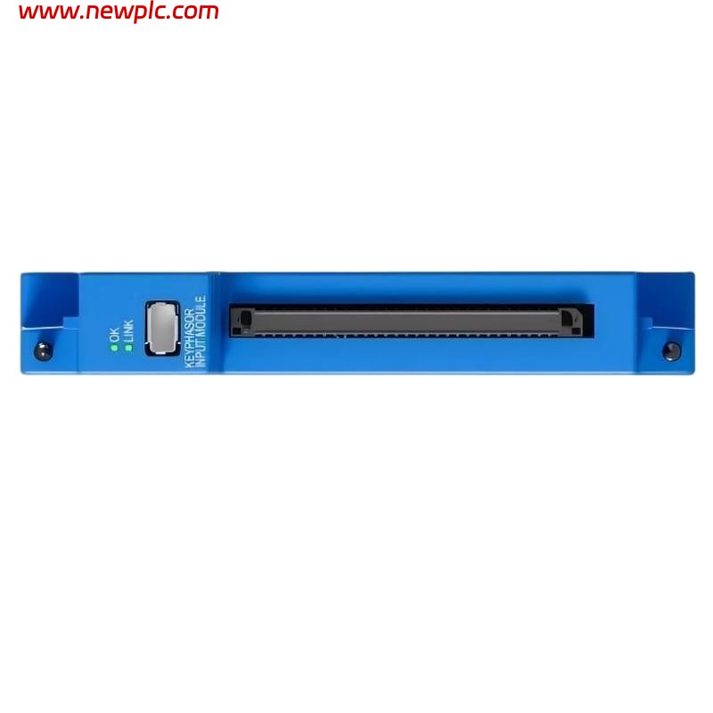 Bently Nevada 60R/INP06 Input Module
