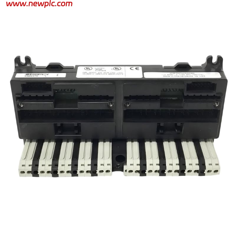 GE IC670CHS002 I/O Terminal Block