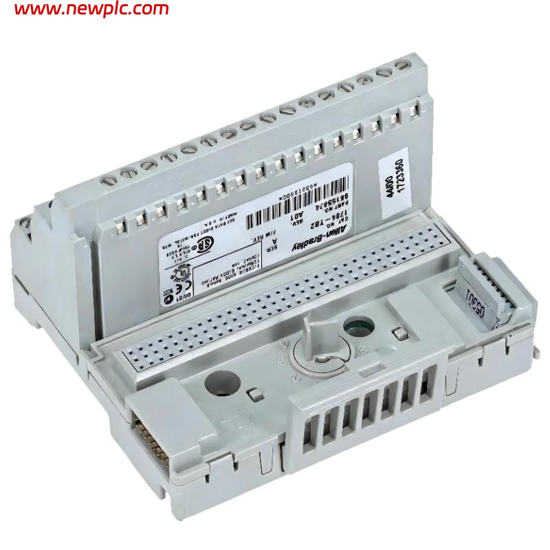 Allen-Bradley 1794-TB2 FLEX I/O 2-Wire Screw Clamp Terminal Base