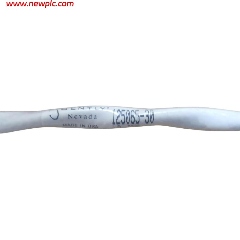 Bently Nevada 125065-30 Velomitor® Interconnect Cable
