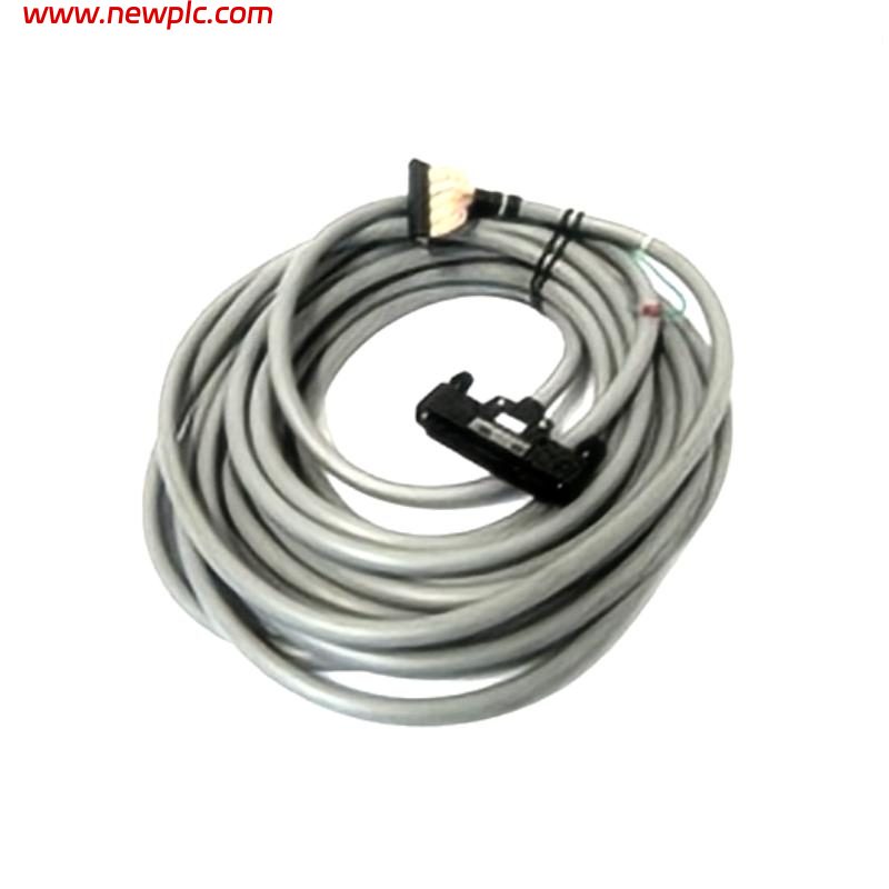 Yokogawa KS1-02 Signal Cable
