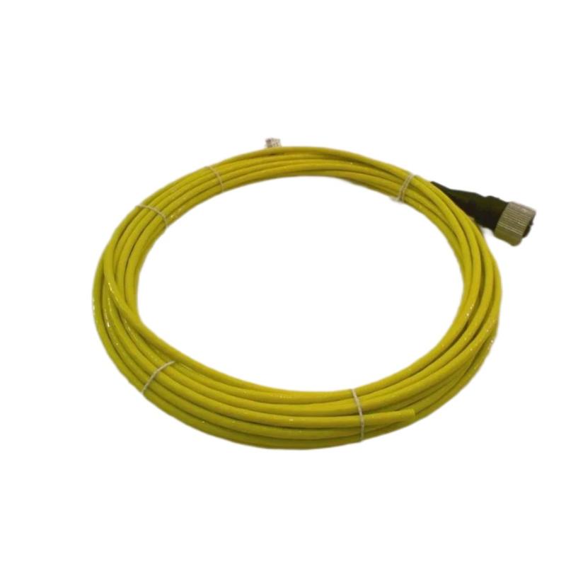 Bently Nevada CB2W100-99 Splash Proof Cable for 2-Wire Transducer Bently Nevada CB2W100-99 Splash Proof Cable for 2-Wire Transducer