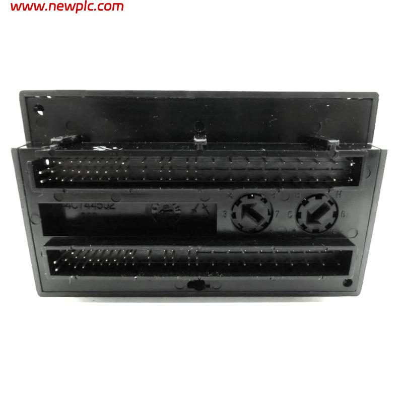 GE IC200ALG230D Analog Input Module