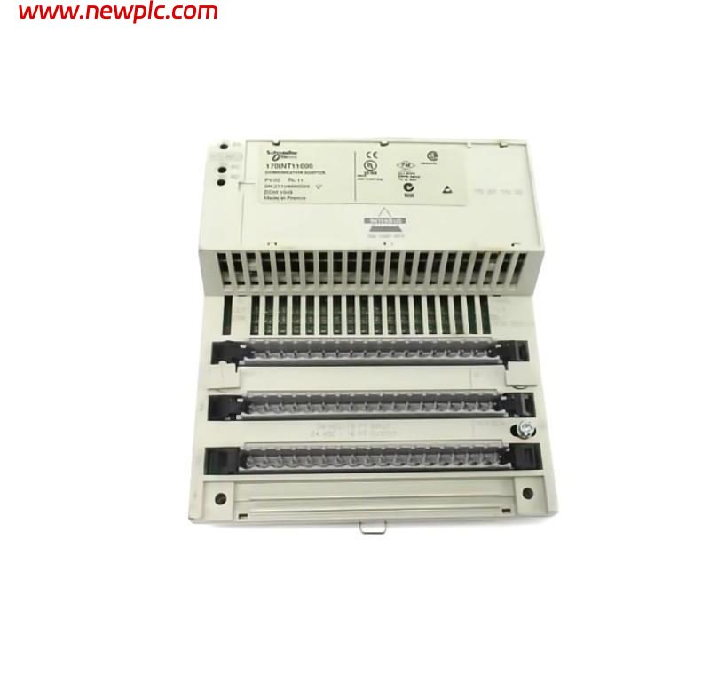 Schneider 170INT11000 Modicon Momentum INTERBUS Communication Adapter Schneider 170INT11000 Modicon Momentum INTERBUS Communication Adapter