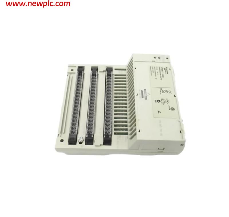 Schneider 170INT11000 Modicon Momentum INTERBUS Communication Adapter Schneider 170INT11000 Modicon Momentum INTERBUS Communication Adapter