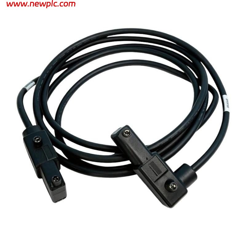 Foxboro P0916DD Type 1 Termination Cable