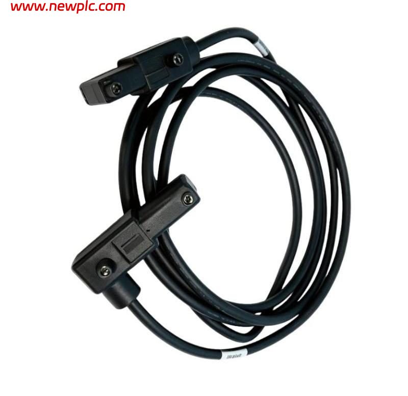 Foxboro P0916DD Type 1 Termination Cable Foxboro P0916DD Type 1 Termination Cable