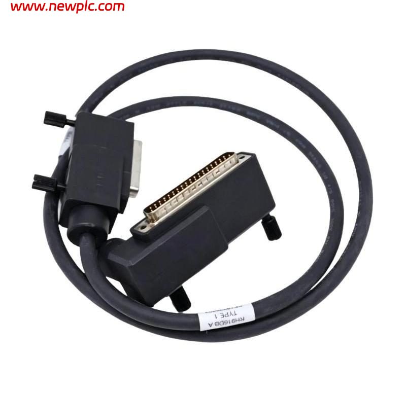 Foxboro RH916DB Termination Cable