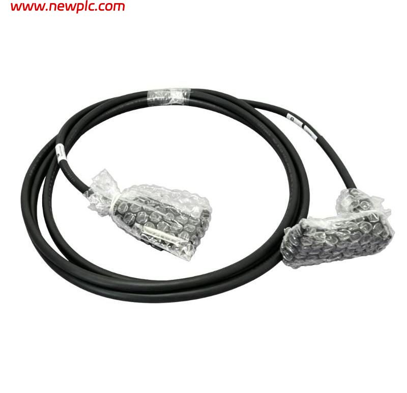 Foxboro RH916DC Type 1 Termination Cable Foxboro RH916DC Type 1 Termination Cable