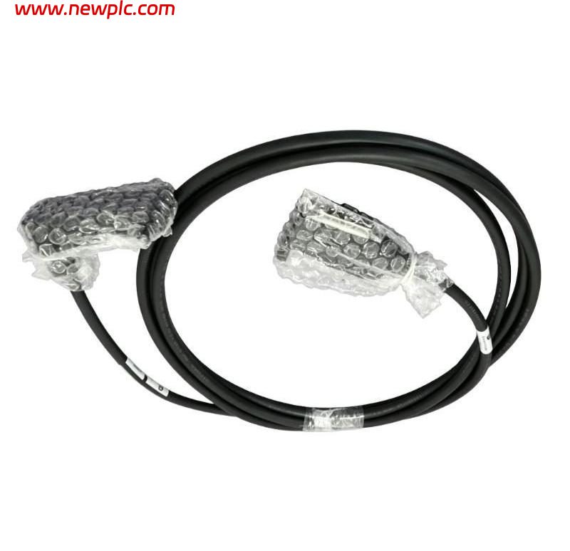 Foxboro RH916DC Type 1 Termination Cable Foxboro RH916DC Type 1 Termination Cable
