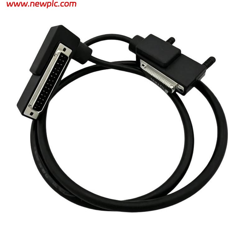 Foxboro RH916DD Type 1 Termination Cable