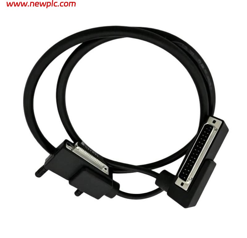Foxboro RH916DD Type 1 Termination Cable Foxboro RH916DD Type 1 Termination Cable